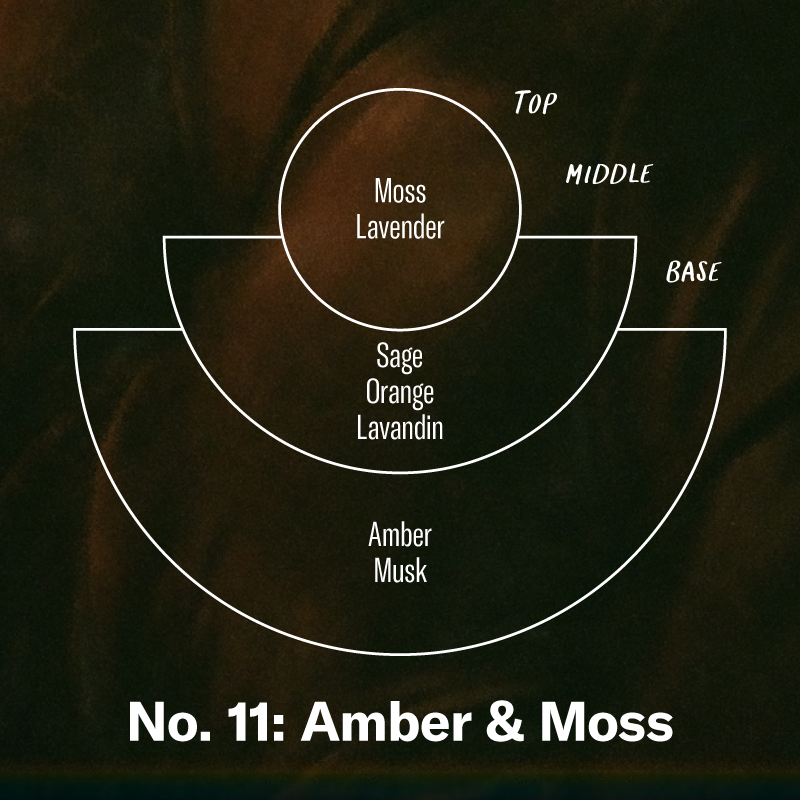 No. 11 Amber & Moss