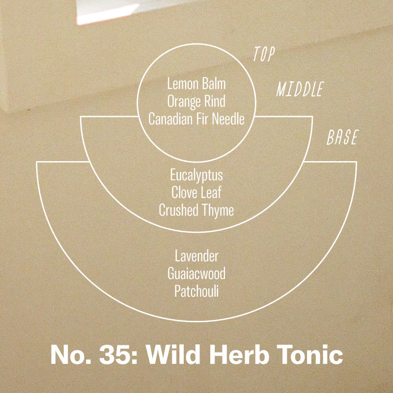 No.36 wild herb